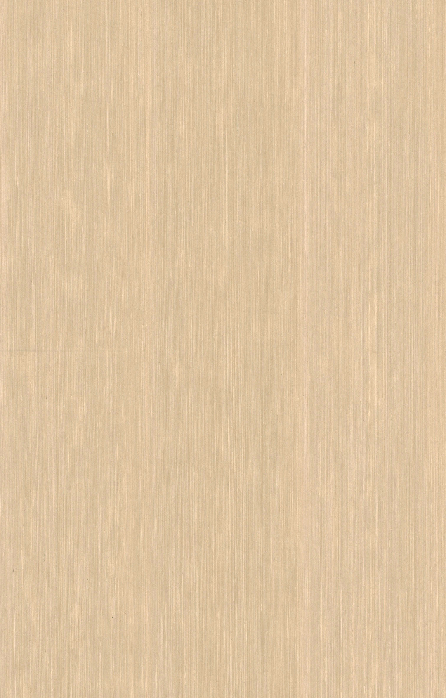 黄檀Q624.jpg